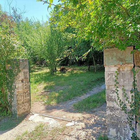 Villa La Colline Aux Oiseaux, La Tranquillite Des Bois Molieres-sur-Ceze Esterno foto
