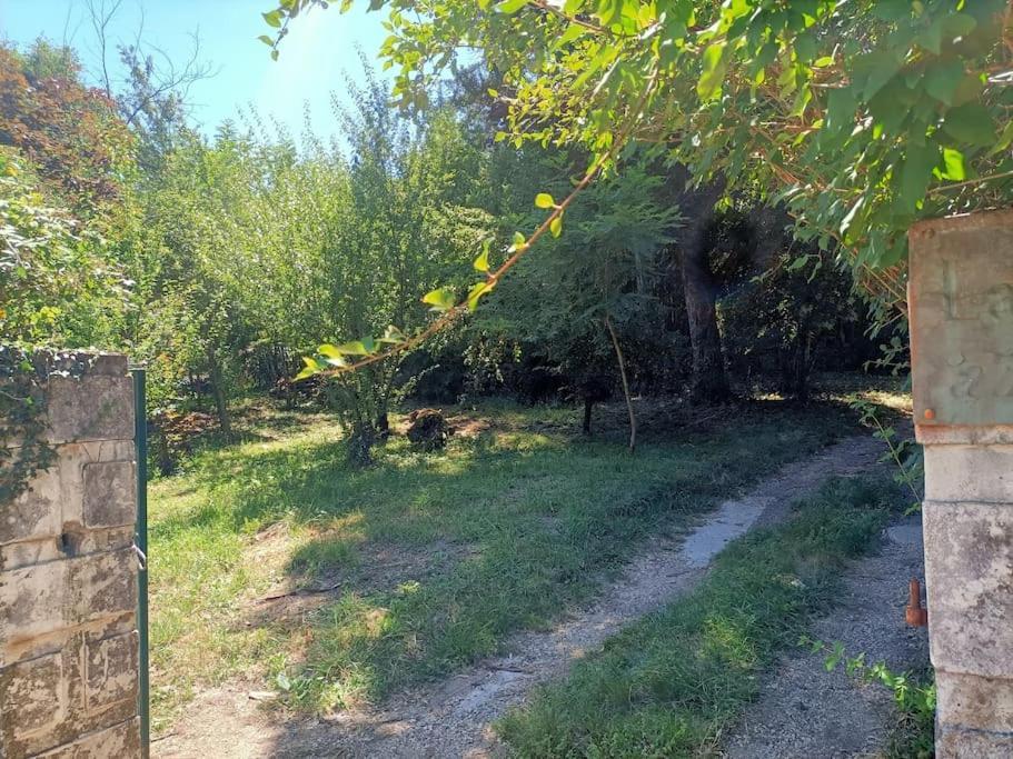 Villa La Colline Aux Oiseaux, La Tranquillite Des Bois Molieres-sur-Ceze Esterno foto