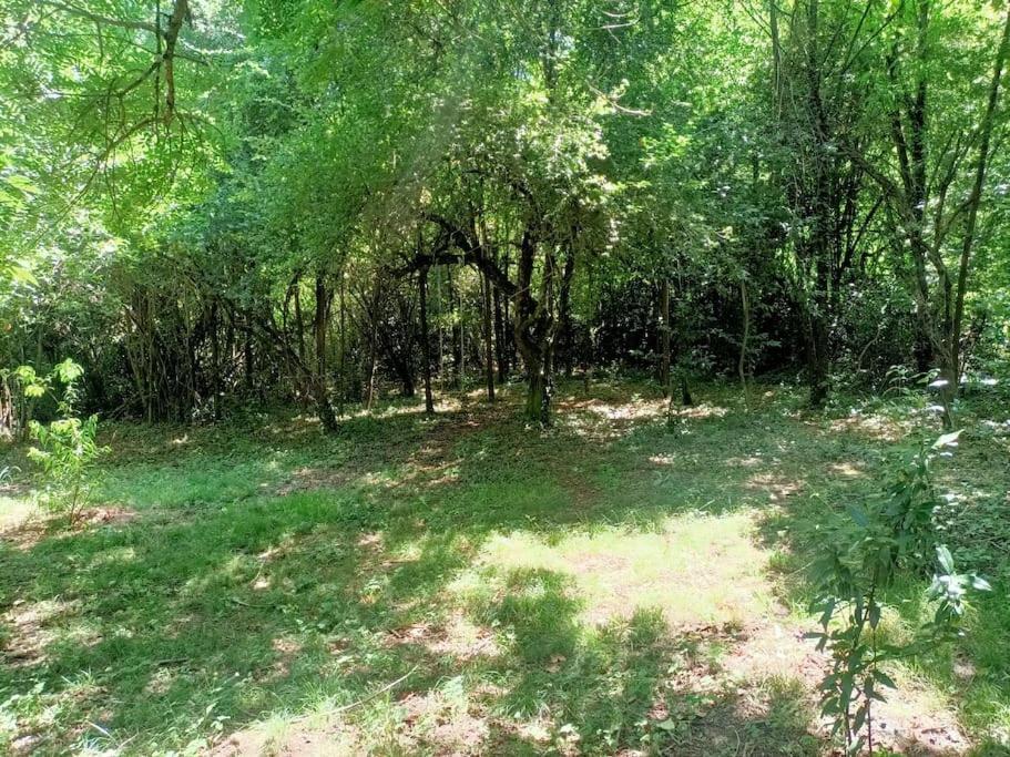 Villa La Colline Aux Oiseaux, La Tranquillite Des Bois Molieres-sur-Ceze Esterno foto